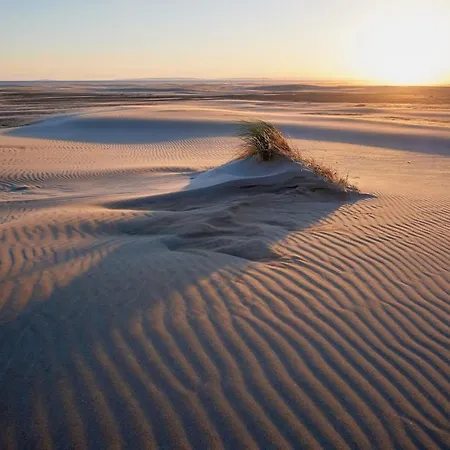 Les Rives Du Port Camargue *