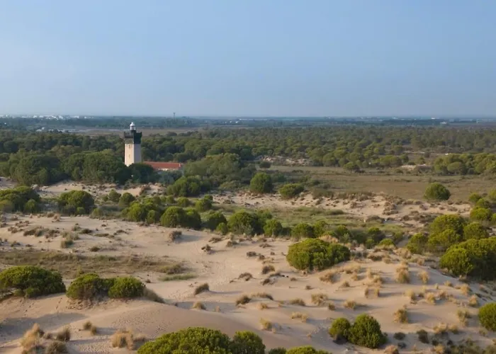 Vue Appartement Le Grau-du-Roi