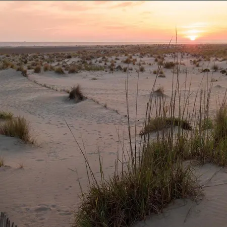 Les Rives Du Port Camargue *